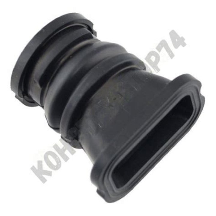 What Is Addison Vodka Real Name? Wikipedia And Age - SarkariResult