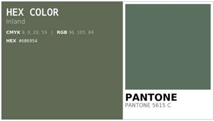 Rami Malek Net Worth, Wiki, Parents, Ethnicity, Religion, Bio, Age, Family And More - SarkariResult