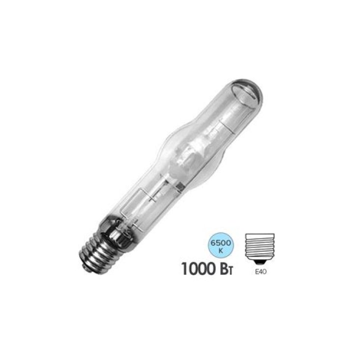 Tom Felton Parents, Meet Father Peter Felton And Mother Sharon Anstey - SarkariResult