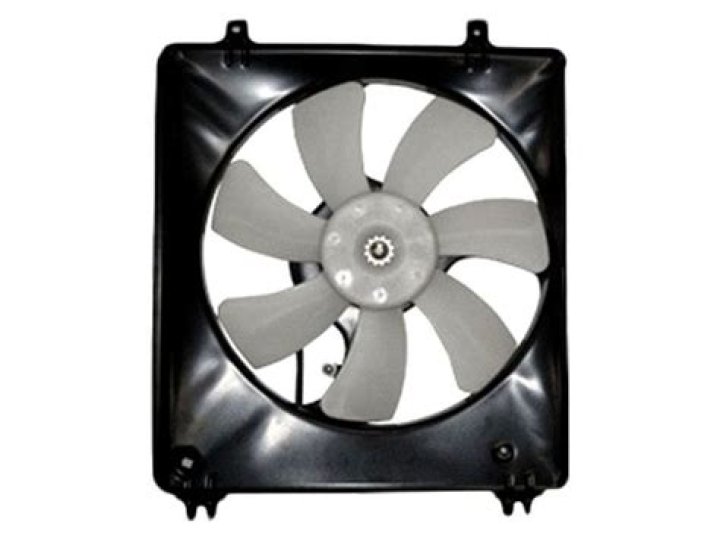 Nick Creegan Parents: Who Is Mother Leonie Hamilton & Father? - SarkariResult