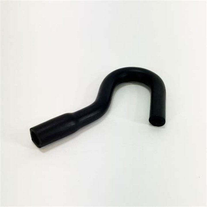 Ben White Net Worth: Career, Family, Age, Income, Wiki, Bio, All You Need to Know - SarkariResult