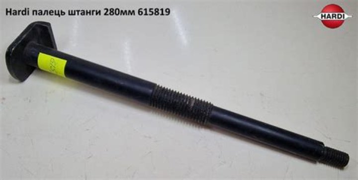 Monday Okpebholo Net Worth, Wiki, Parents, Ethnicity, Religion, Bio, Age, Family And More - SarkariResult