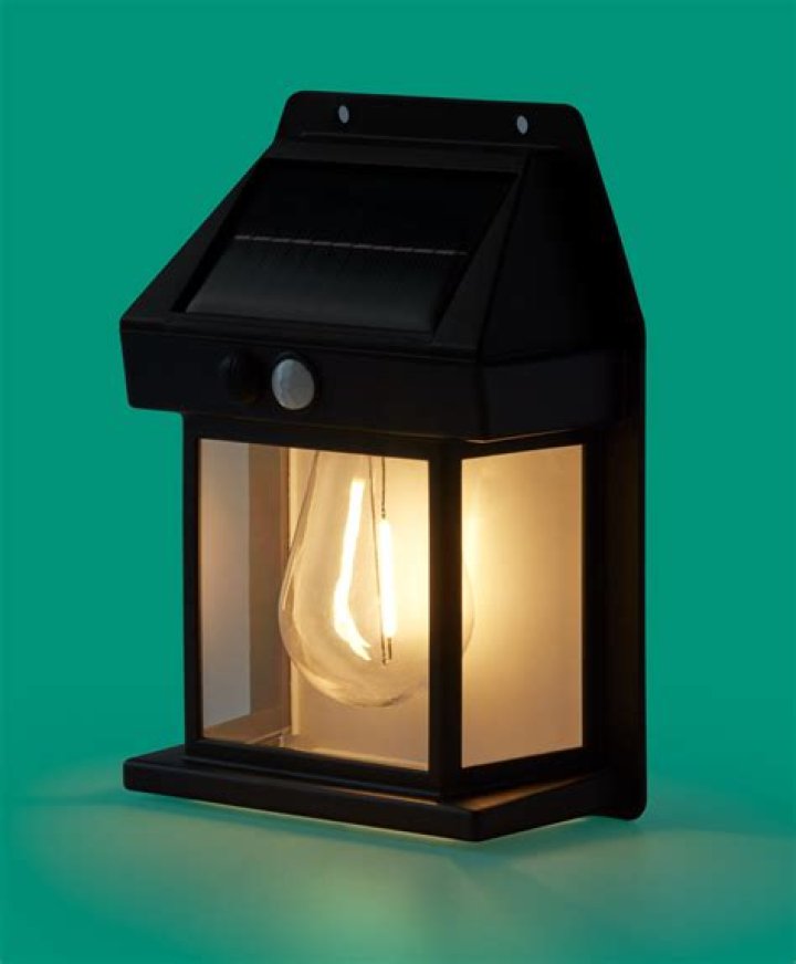 Yanina Wickmayer Net Worth: Career, Family, Age, Income, Wiki, Bio, All You Need to Know - SarkariResult