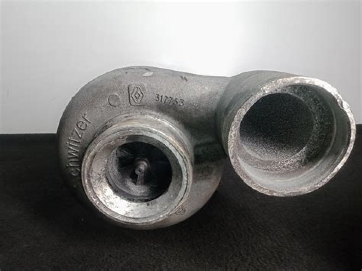 Who is Blippi? Is He Gay? Is Blippi Married? Know All About Him - SarkariResult