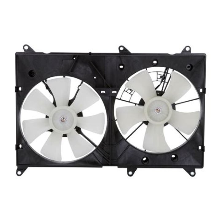 Callan Elliot Net Worth: Career, Family, Age, Income, Wiki, Bio, All You Need to Know - SarkariResult