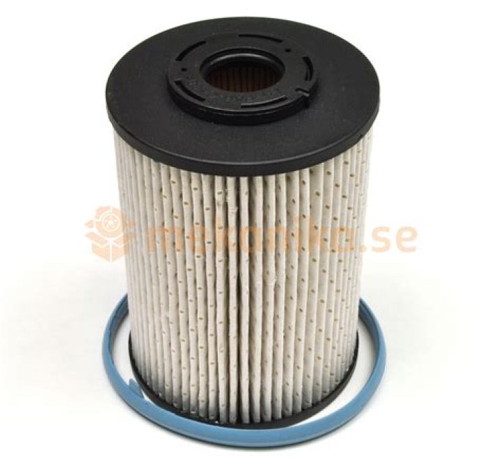 Robbie Weir Net Worth: Career, Family, Age, Income, Wiki, Bio, All You Need to Know - SarkariResult