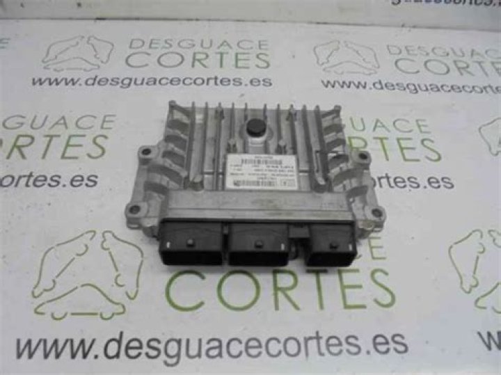 Gretchen Fleming Disappearance / Missing: What Happened To Gretchen Fleming? - SarkariResult