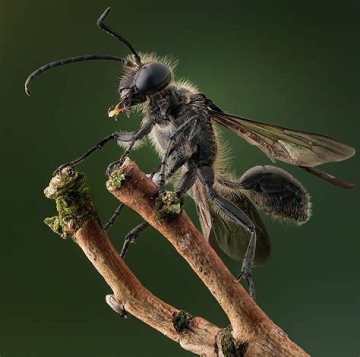 Who is Dolly Chaiwala? How he get Recent Rise to Fame? - SarkariResult