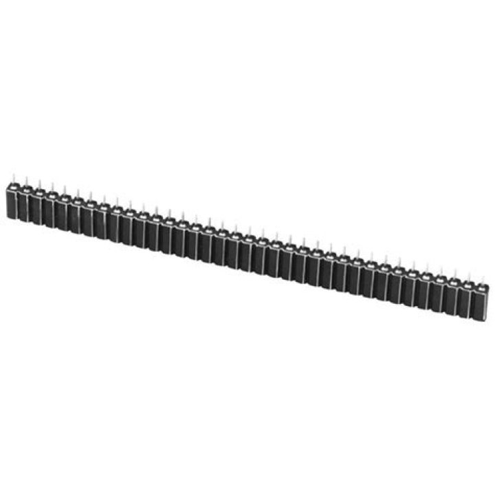 Richarlison's Health / Injury Update: What happened to Richarlison? - SarkariResult