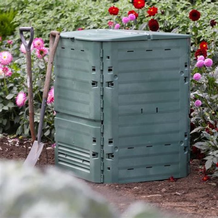 Troy Girl Disappearance / Missing: What Happened To Troy Girl? - SarkariResult