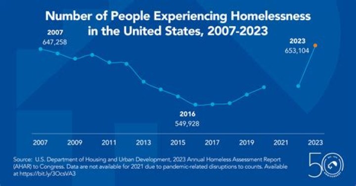 
65,611 people experienced homelessness in Chicago in 2020: Report 