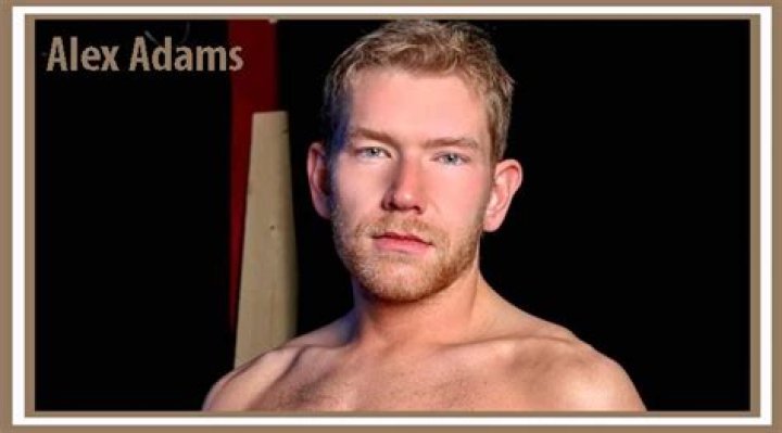 Alex Harz Net Worth