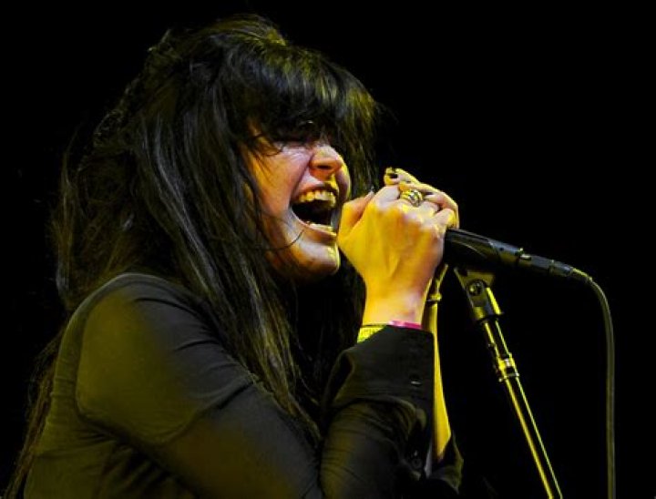 Alison Mosshart Net Worth