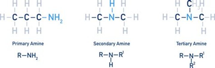 Amine