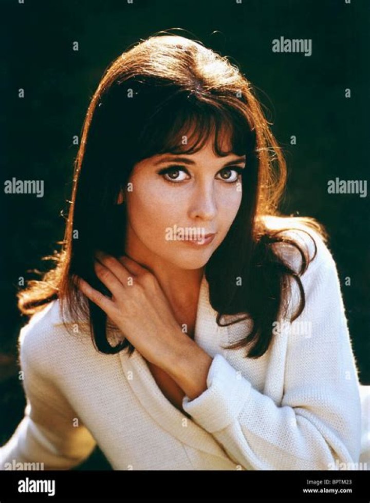 Anjanette Comer Net Worth