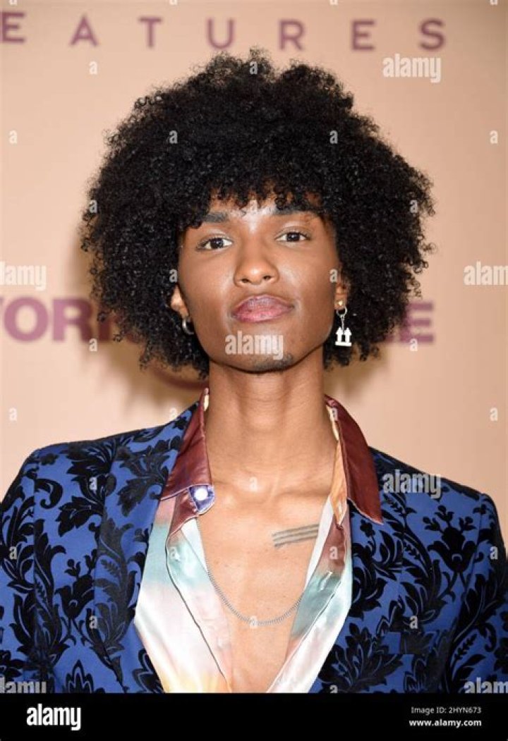 Ari Fitz
