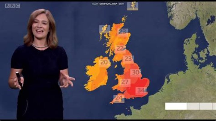 
BBC Weather Girl Alina Jenkins Garners Attention After She Appears On TV Over The Weekend 