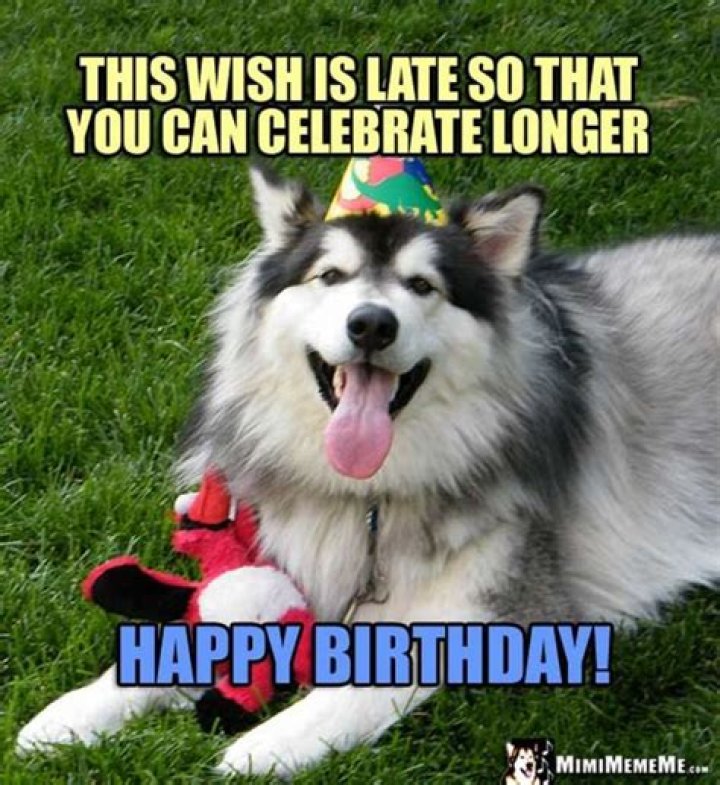 Belated birthday memes to share with your angry friend