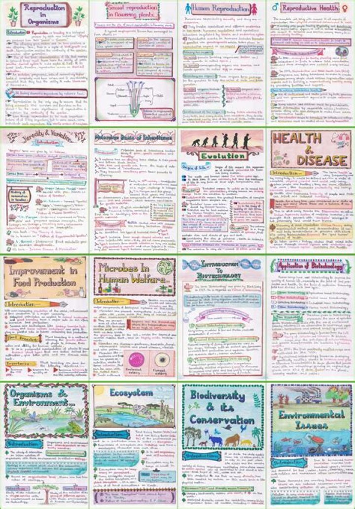 Biology Student Faygel Beren Died. She Died from Long Disease