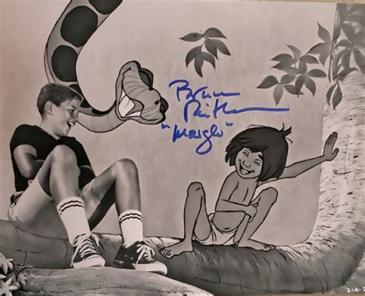 Bruce Reitherman Net Worth