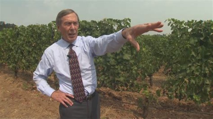 Christiana Leucas Net Worth