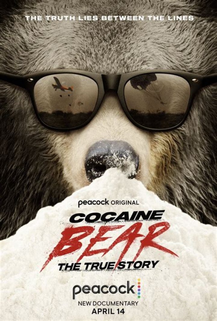 
Cocaine Bear true story explored 