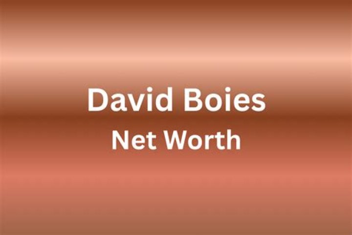 David Boies Net Worth