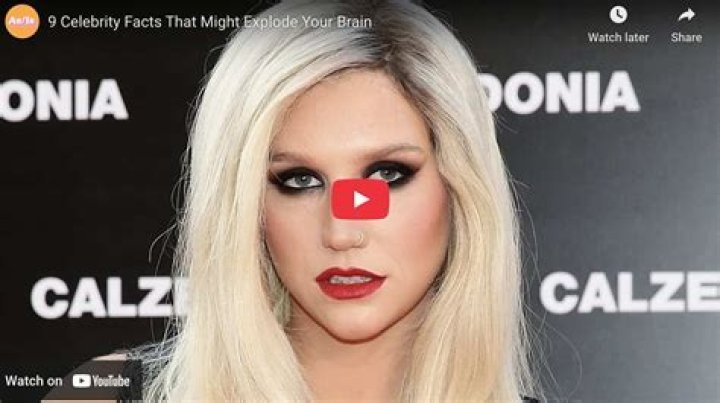 Derek J. Miller Net Worth