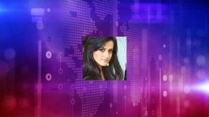 Diana Elizabeth Torres Net Worth