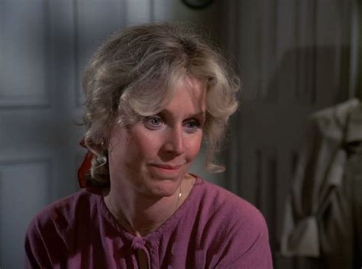 Diana Hyland Net Worth