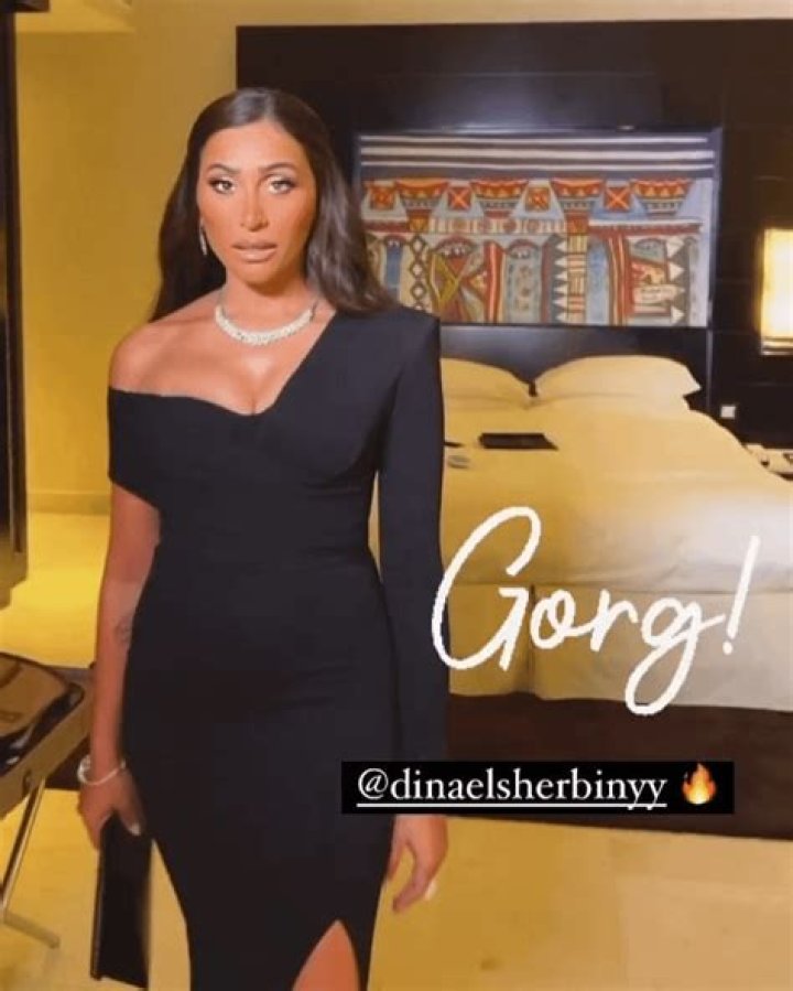 Dina El Sherbiny Height, Weight, Net Worth, Age, Birthday, Wikipedia, Who, Nationality, Biography