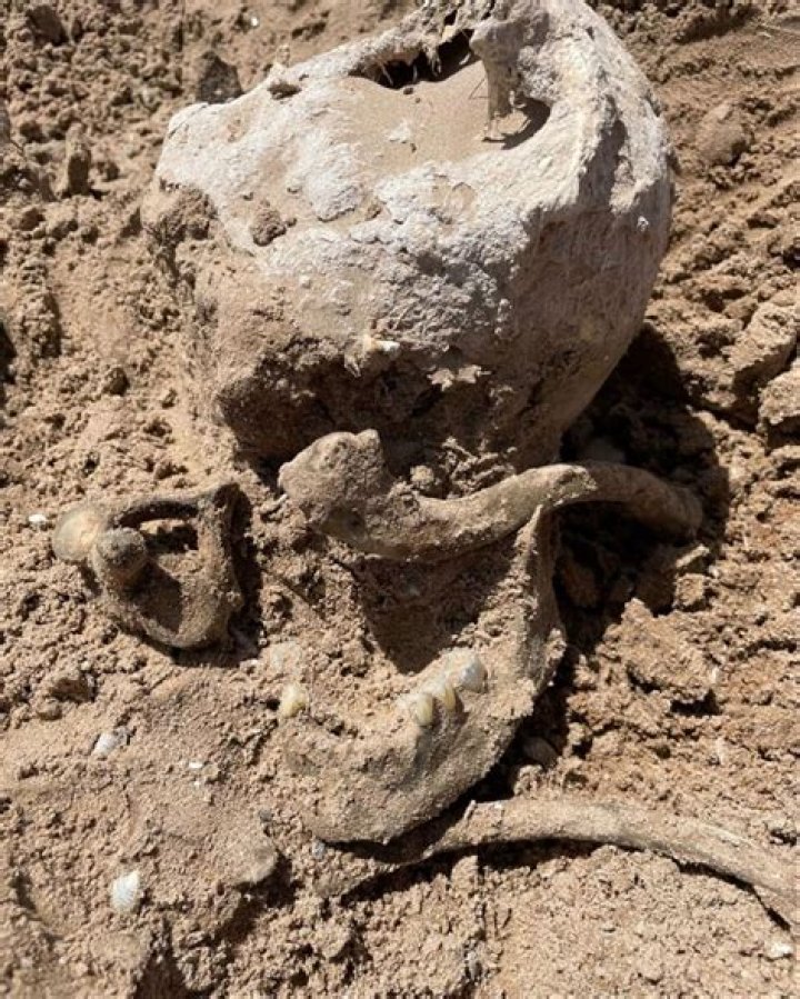 
Do bones decompose? Lake Mead officers discover skeleton remains of 70s drowning victim 