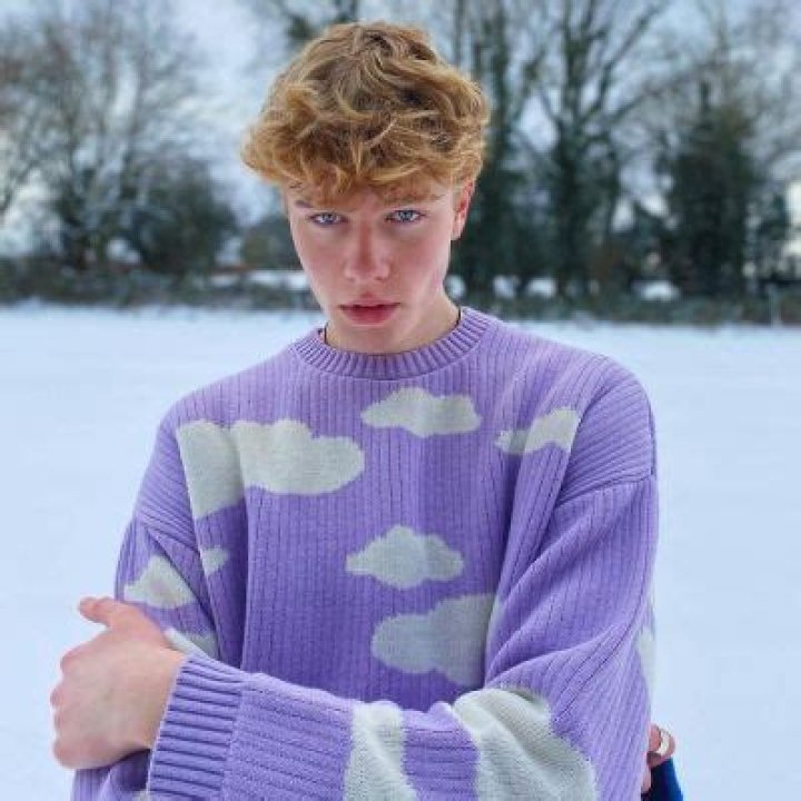 
domvlogs Height, Weight, Net Worth, Age, Birthday, Wikipedia, Who, Nationality, Biography 