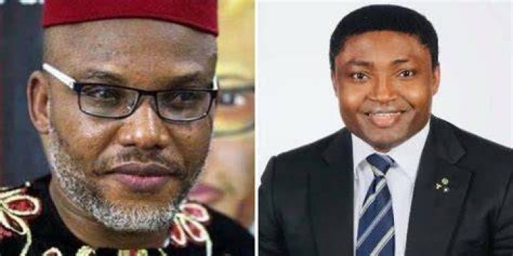 Dr Nelly Ofoegbu Wikipedia Bio And Pictures: Simon Ekpa Beef On Social Media Explained