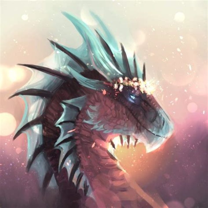 DraconiteDragon - Bio, Age, weight, height, Wiki, Facts and Family