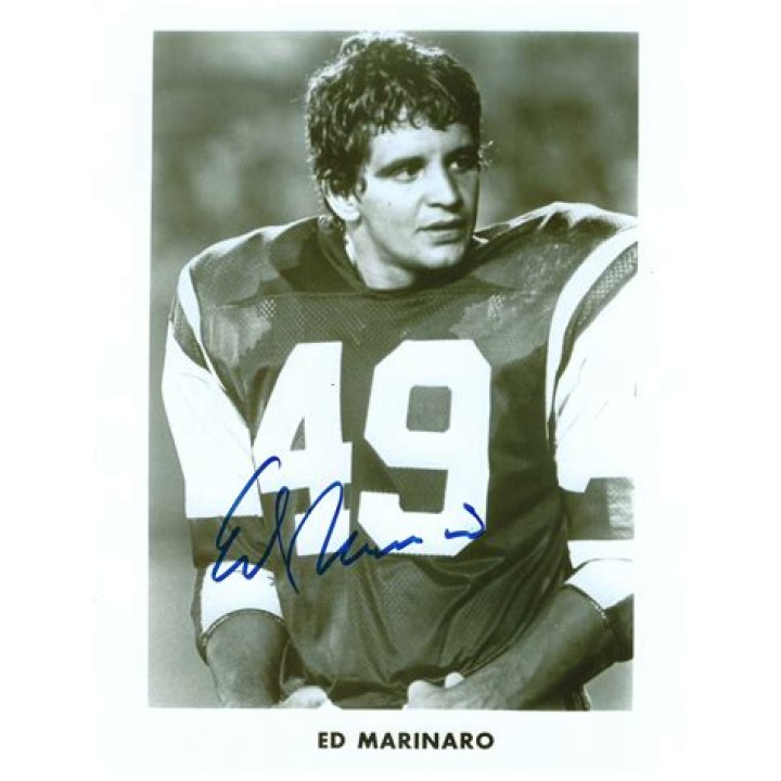 Ed Marinaro Net Worth