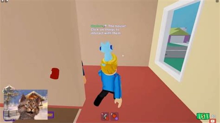 Gravycatman Phone Number, WhatsApp Number Contact Number Mobile