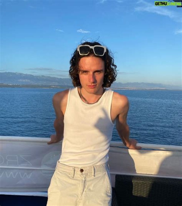 
Harry Collett Height, Weight, Net Worth, Age, Birthday, Wikipedia, Who, Nationality, Biography 
