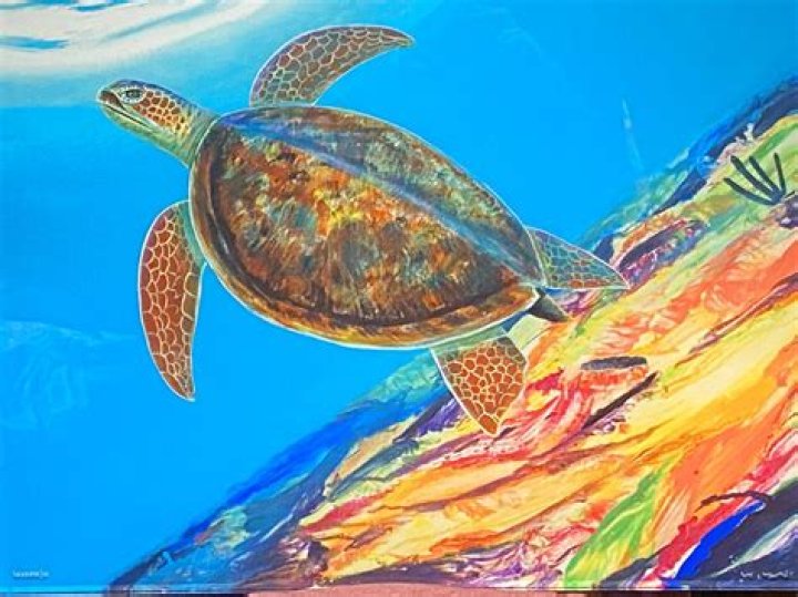 How Much Is Robert Wyland Net Worth? More On The Artist