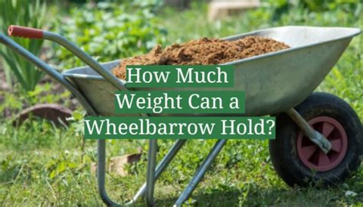 How much weight can a chevy sonic tow