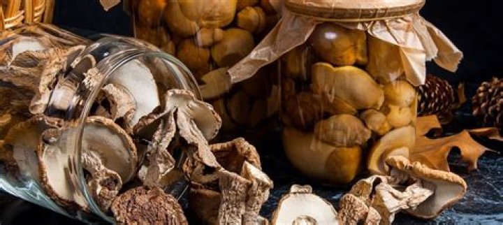 How to preserve mushrooms for display