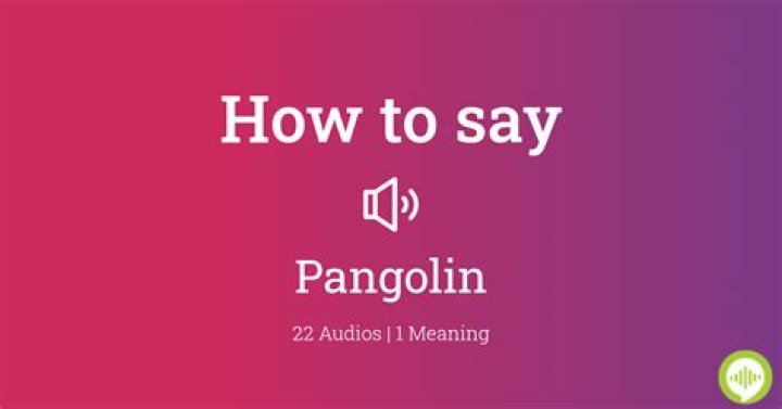 How to pronounce pangolin