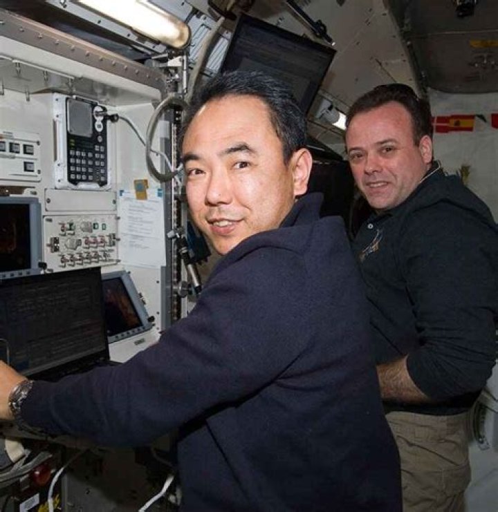 Jason Furukawa Net Worth