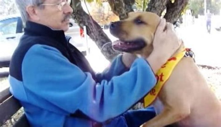 Jenna Pelikan, Adored Animal-Loving Soul, Passed Away – Cause of Death?