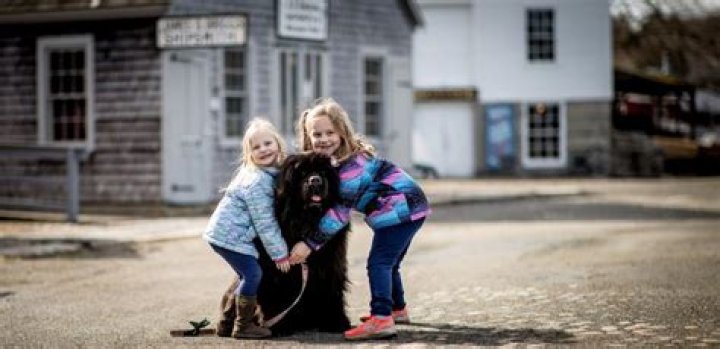 Justin Fornal Net Worth