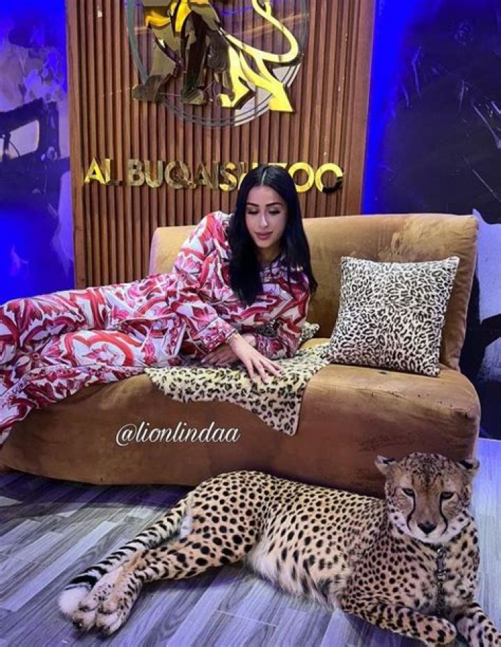 Linda Andrade Net Worth