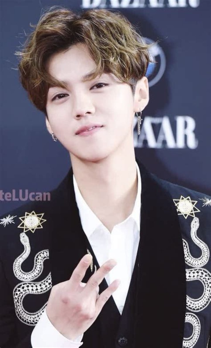 Lu Han Height, Weight, Net Worth, Age, Birthday, Wikipedia, Who, Nationality, Biography