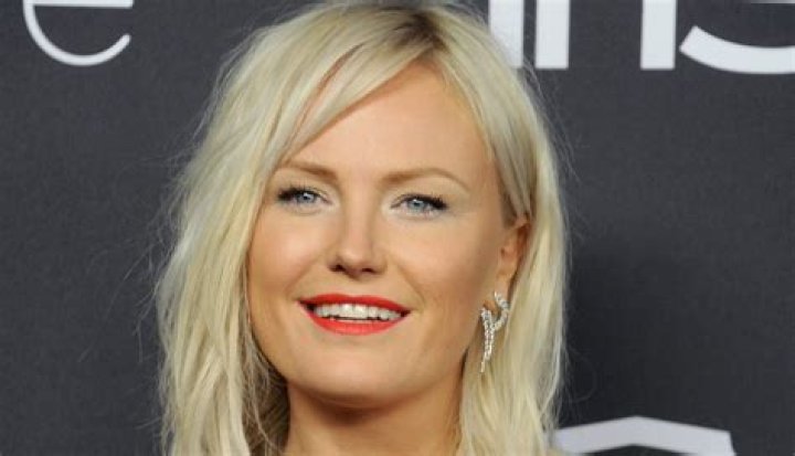 Malin Akerman Net Worth