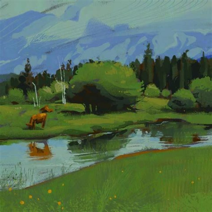 Matthew Sorgie - Biography, Age, Wiki, Facts and Family