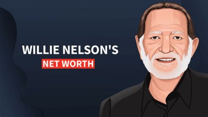 Micah Nelson Net Worth